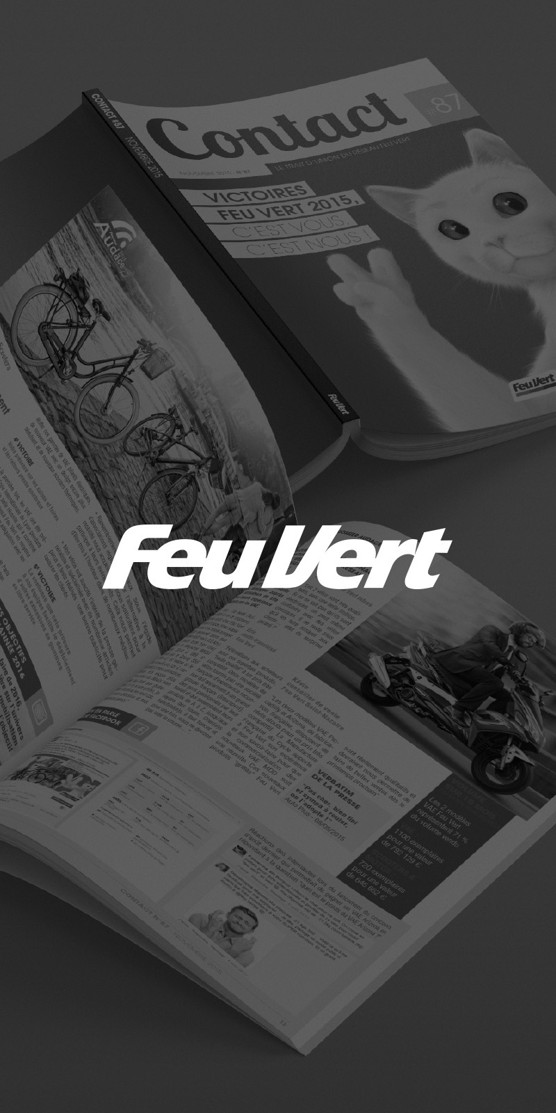 Communication interne, Feu Vert