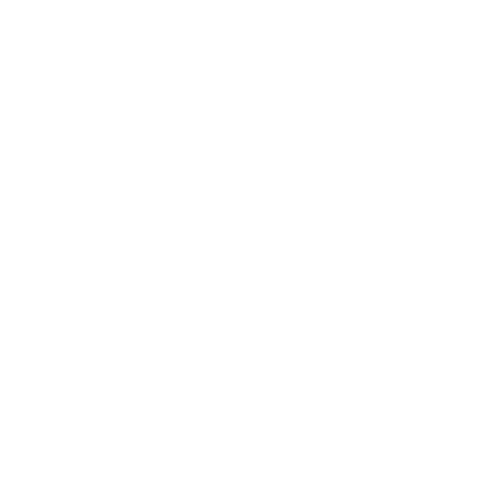 Scooter Club Lyonnais logo